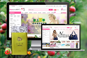 �ӳس������̳�