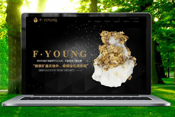 �ӳظ������ﱦʯ